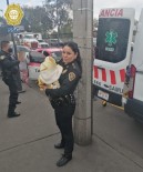 Mexico City'de Takside Sancisi Tutan Hamile Kadina Polis Dogum Yaptirdi