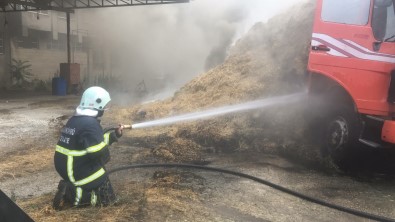 Park Halindeki Kamyonun Kasasindaki Samanlar Yandi