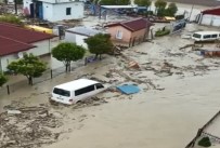 Sinop Ayancik Sele Teslim