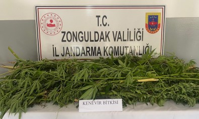 Zonguldak'ta Uyusturucu Operasyonu