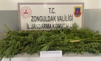 Zonguldak'ta Uyusturucu Operasyonu
