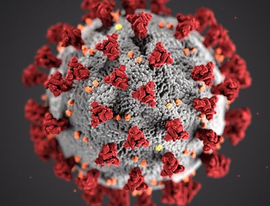 12 Ağustos koronavirüs tablosu!