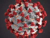 12 Ağustos koronavirüs tablosu!