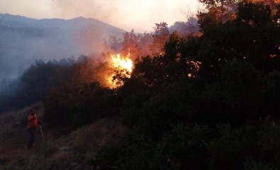 Bingöl'de Orman Yangini Büyümeden Söndürüldü