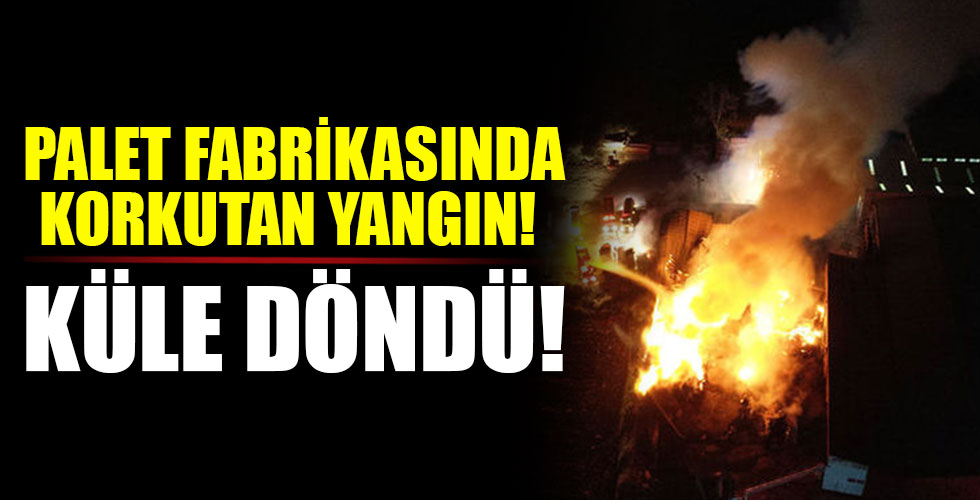 Bursa'da palet fabrikasında yangın!
