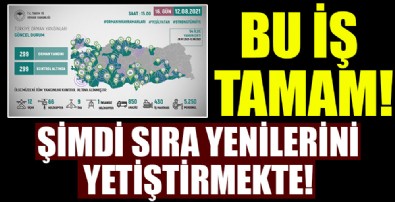 Tüm orman yangınları kontrol altına alındı!