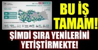 Tüm orman yangınları kontrol altına alındı!