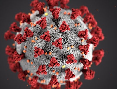 13 Ağustos koronavirüs tablosu!