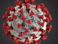 13 Ağustos koronavirüs tablosu!