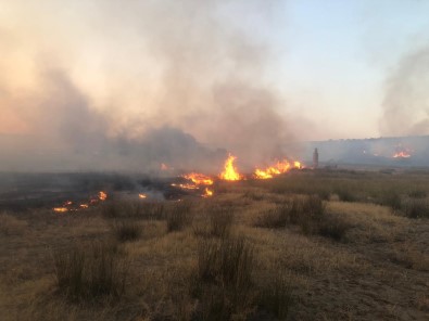 Ayvalik'ta Ayni Saatlerde Çikan Iki Ayri Maki Yangini Zamaninda Müdahaleler Ile Söndürüldü