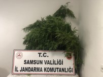 Baba-Ogula Hint Keneviri Gözaltisi