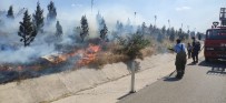 Bandirma'da Yol Kenarinda Yangin