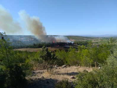 Izmir'de 1 Günde 3'Üncü Yangin