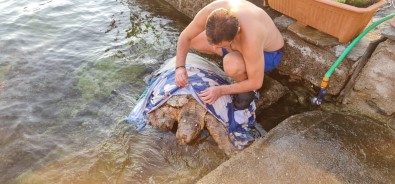 Kaplumbaga Için Seferber Oldular