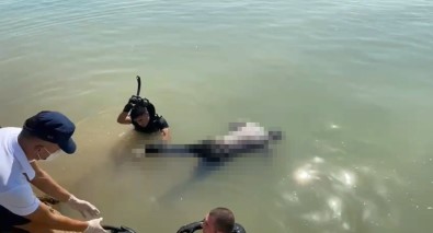 Mersin'de Balikçi Barinaginda Ceset Bulundu