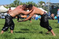 Sile'de Pehlivanlar Er Meydanina Çikti