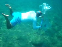 Su Altindaki Atiklari Pet Siselerle Tasiyip Baliklara Ev Yapti