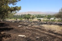 Tefenni Ilçesindeki Yangin Ormana Siçramadan Söndürüldü