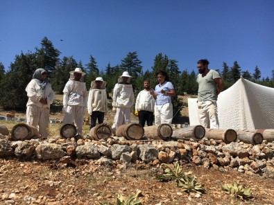 Toroslar'da Yörüklerin Göç Yolunda Ürettigi Asirlik Bal Yeniden Üretilecek