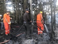 Antalya'da Orman Yangini Kontrol Altina Alindi