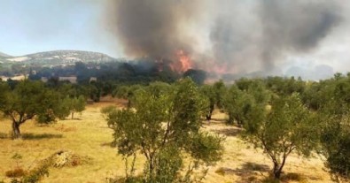 Bakan Pakdemirli'den yangın açıklaması!