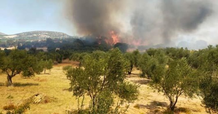 Bakan Pakdemirli'den yangın açıklaması!