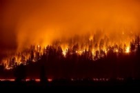 Bir aydır devam ediyor: ABD, 'kriz modu'nda! 210 bin hektar alan küle döndü