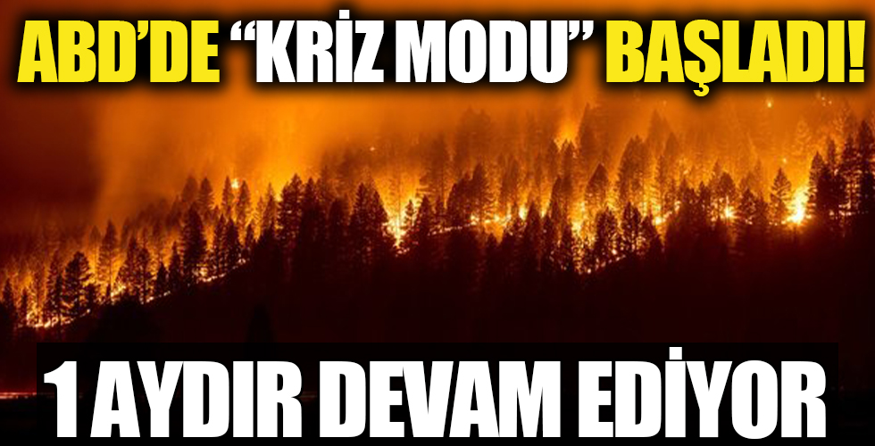 Bir aydır devam ediyor: ABD, 'kriz modu'nda! 210 bin hektar alan küle döndü
