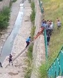 Bursa'da Dereye Düstü , Ekipler Tarafindan Kurtarildi