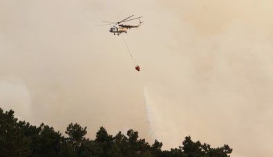 Çine'deki Orman Yanginina 12 Helikopter Ile Müdahale Ediliyor