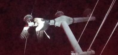 Elektrik Tellerine Takilan Leylek Yangina Neden Oldu