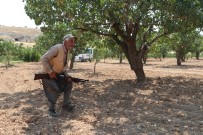 Eller Tetikte Fistik Nöbeti Tutuyorlar