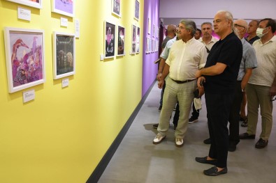 Eski Bakan Saglar'dan 'Ada Modern Sanat Galerisi'ne Tam Not