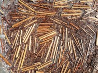 Karadeniz 'Tomruk Deniz' Oldu