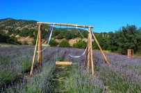 Nallihan'da Lavanta Bahçeleri Ziyaretçilere Görsel Sölen Sunuyor