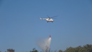 Tavakli'da 10 Günde Çikan 7'Nci Yangin Kontrol Altina Alindi