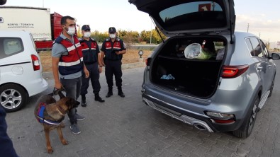 Bolvadin'de Jandarmadan Asayis Ve Trafik Denetimi