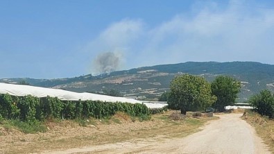 Denizli'de Baslayan Orman Yangini Için Halk Seferber Oldu