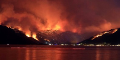 Help ne demek? Help Turkey TT oldu? Help Türkçe ne anlama geliyor? Help Türkçe çeviri