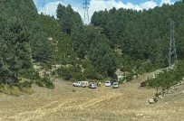 Kayip Emine Ögretmen Ormanda Ölü Bulundu