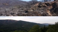 Marmaris'in Yangin Öncesi Ve Sonrasi Havadan Görüntüleri, Felaketin Boyutunu Gözler Önüne Serdi