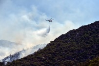 Marmaris Orhaniye Yeniden Yanmaya Basladi