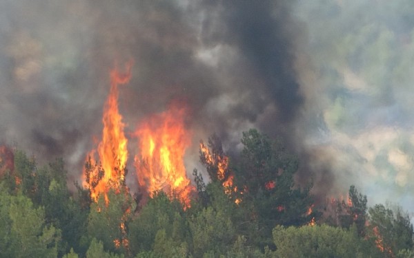 Isparta Sütçüler Yangınında Can Kaybı Var mı? Isparta Yangını Nerede Çıktı? Isparta Sütçüler Yangını Kontrol Altına Alındı mı?