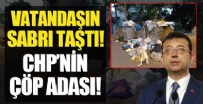 Adalar'daki çöp yığınları vatandaşı çileden çıkarttı! CHP'li İBB Başkanı Ekrem İmamoğlu'na protesto sesleri yükseldi
