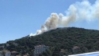 Heybeliada'daki yangında insan zinciri oluşturuldu!