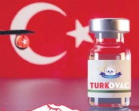 Turkovac mı daha etkili Sinovac mı? 80 günlük kritik süreç başladı...