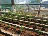 Adana'da Uyusturucu Operasyonu Açiklamasi 48 Gözalti