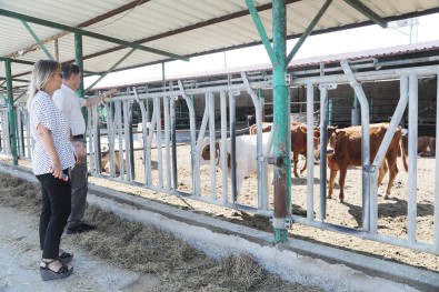 Atakum Belediyesi'nden Kirsal Kalkinmaya Destek