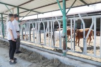 Atakum Belediyesi'nden Kirsal Kalkinmaya Destek