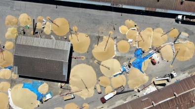 Hububat Sehrinde Endiselendiren Tablo, Fiyat Yüksek Ama Ürün Yok